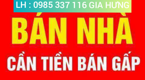 4230346 ảnh đại diện 1