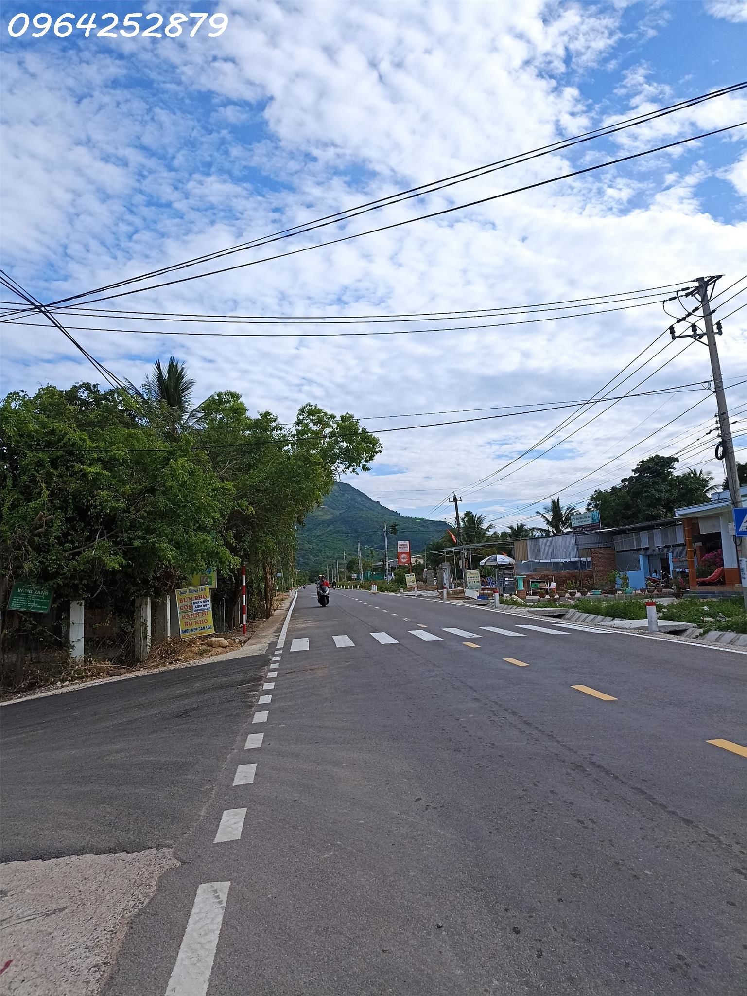 4231141 ảnh đại diện 2