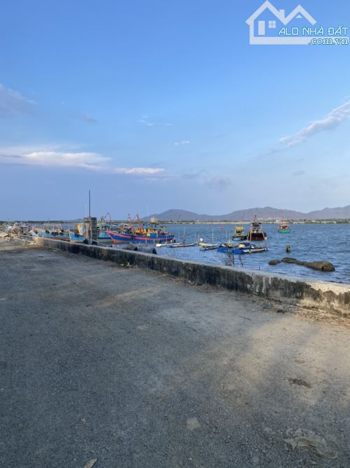 4231826 ảnh đại diện 1