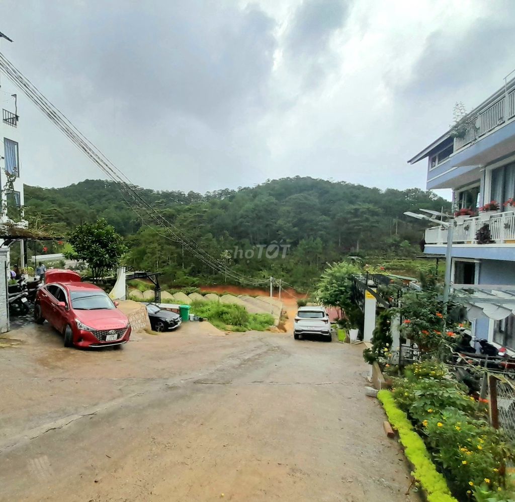 4231545 ảnh đại diện 2