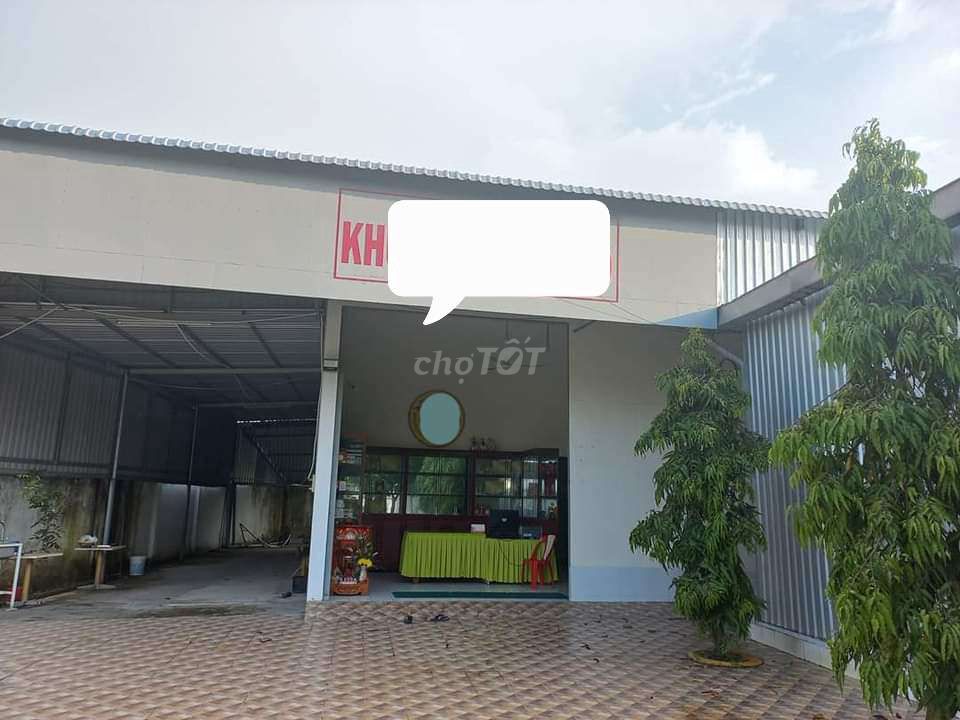 4230615 ảnh đại diện 2