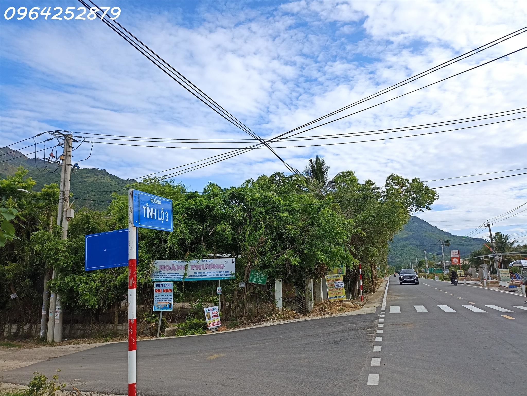 4231141 ảnh đại diện 1
