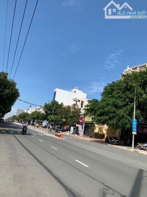 4231872 ảnh đại diện 1