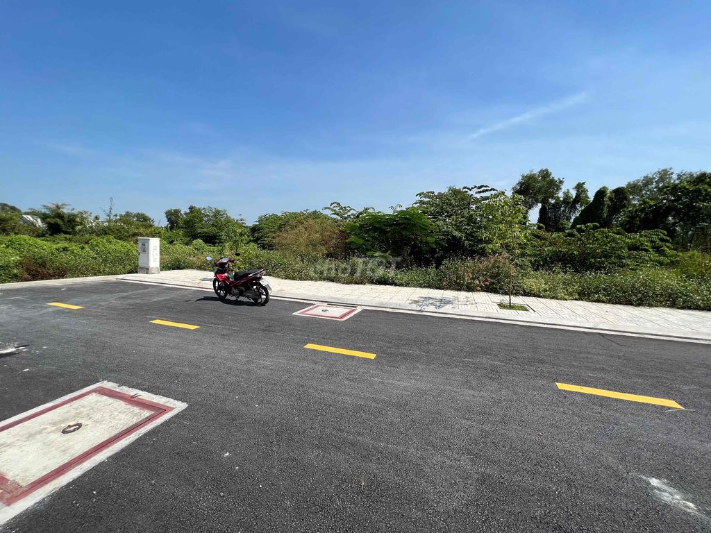 4231449 ảnh đại diện 2