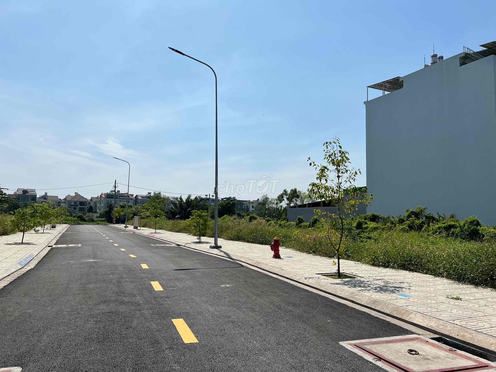 4231449 ảnh đại diện 1