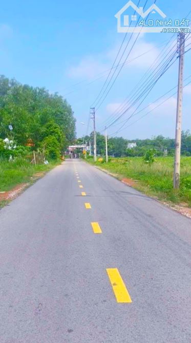 4231441 ảnh đại diện 1