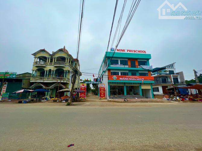 4231498 ảnh đại diện 1