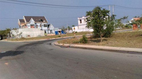 4230296 ảnh đại diện 1