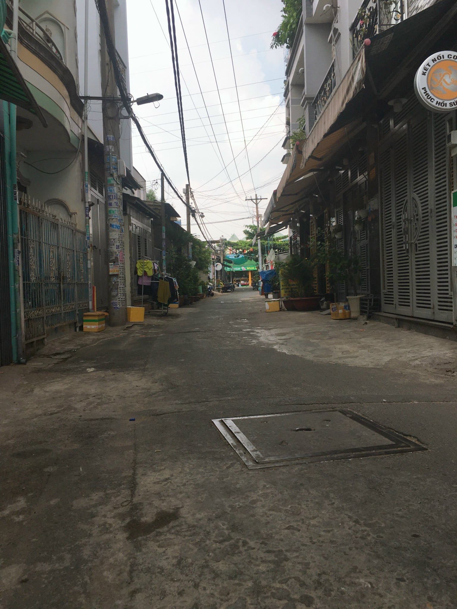 4230444 ảnh đại diện 1