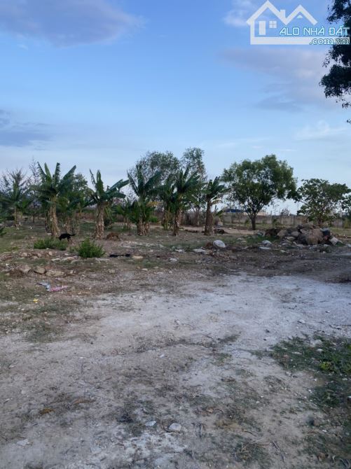 4231826 ảnh đại diện 1