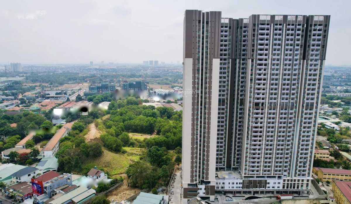 4231967 ảnh đại diện 1