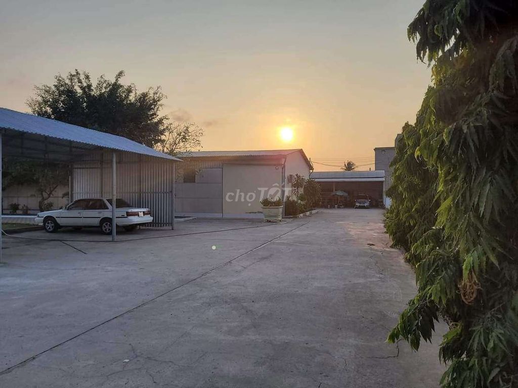 4230615 ảnh đại diện 1