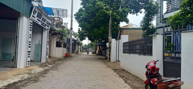 4231493 ảnh đại diện 1