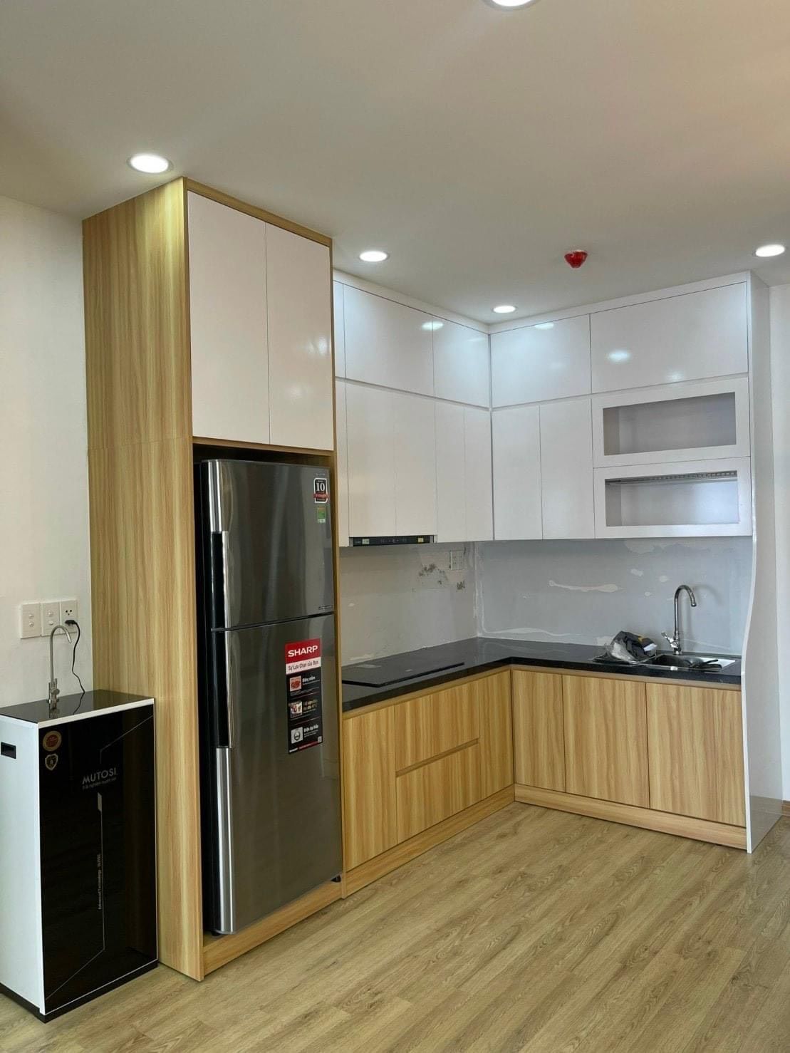 4231036 ảnh đại diện 2