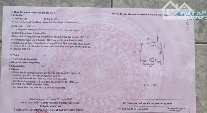 4231441 ảnh đại diện 2