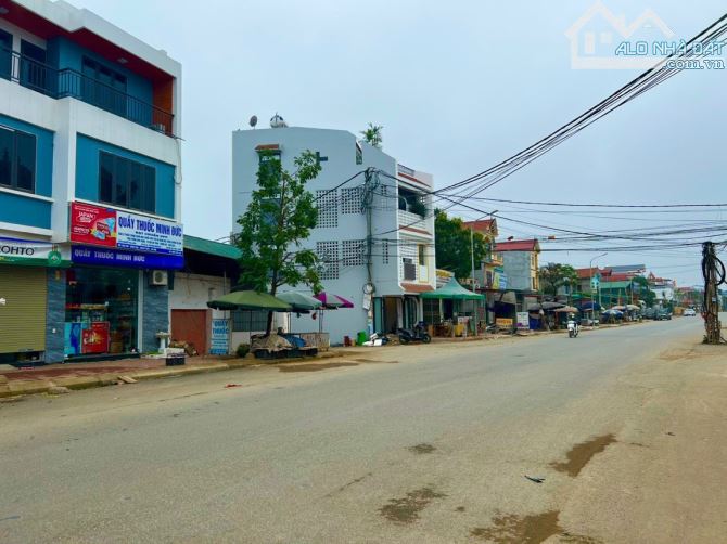 4231498 ảnh đại diện 1