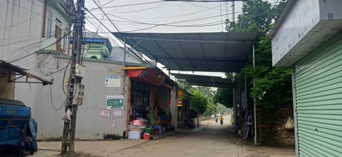 4231493 ảnh đại diện 2