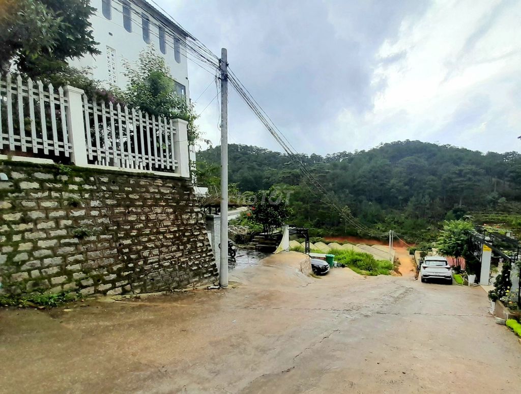 4231545 ảnh đại diện 1