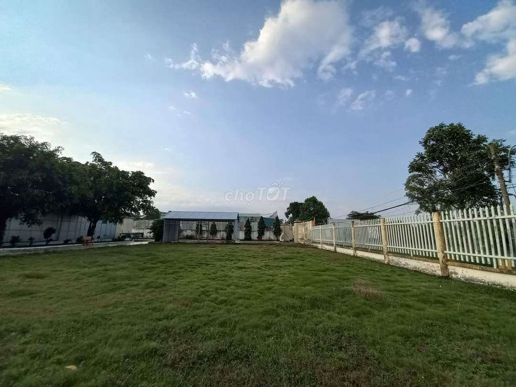 4230615 ảnh đại diện 1