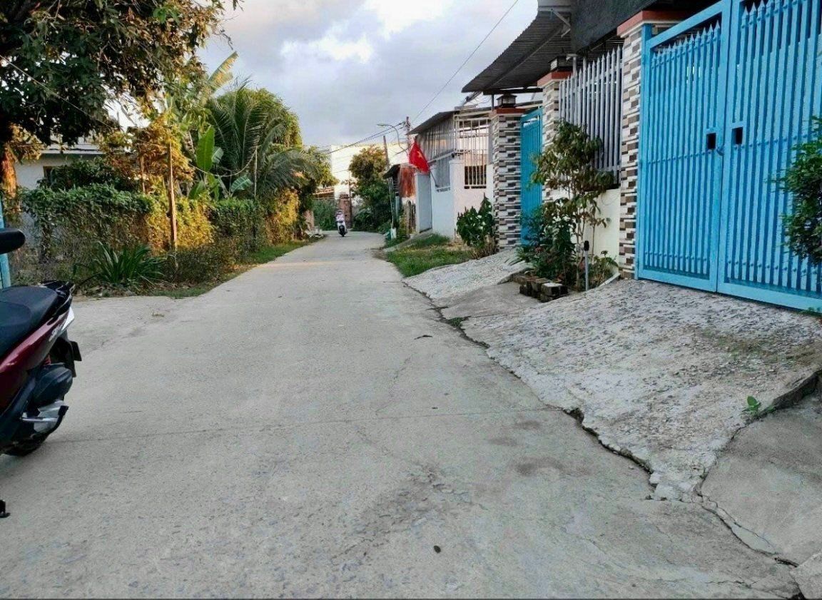 4231129 ảnh đại diện 1