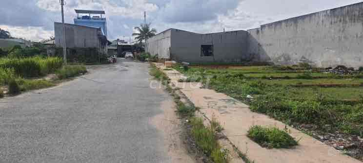 4230143 ảnh đại diện 2