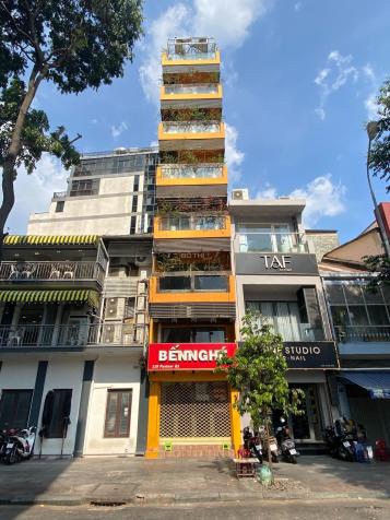 4235065 ảnh đại diện 1