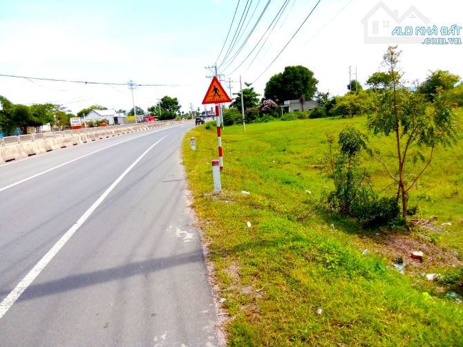 4232768 ảnh đại diện 1