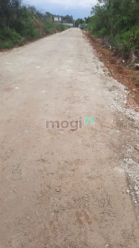 4234227 ảnh đại diện 2