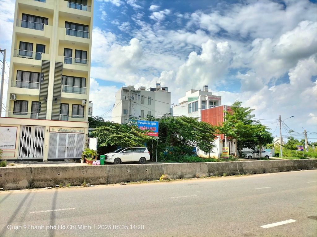 4234156 ảnh đại diện 1