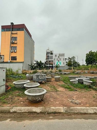 4233339 ảnh đại diện 1