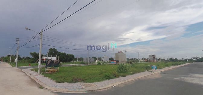 4233963 ảnh đại diện 1