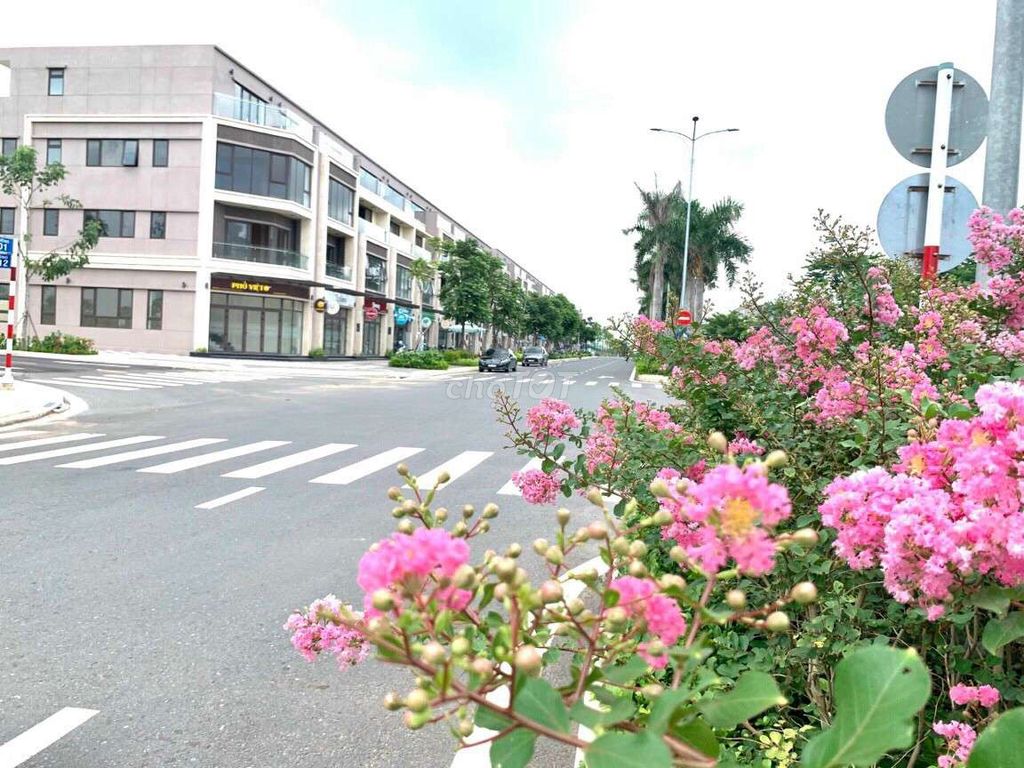 4234365 ảnh đại diện 1