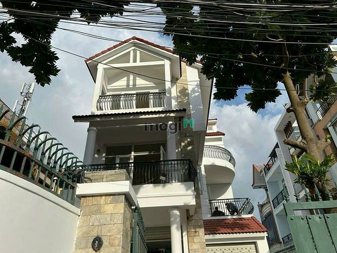 4233502 ảnh đại diện 1