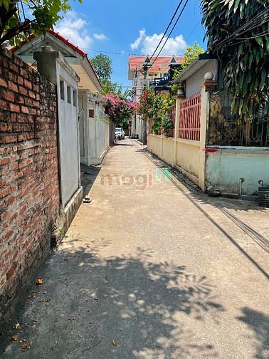 4234625 ảnh đại diện 1