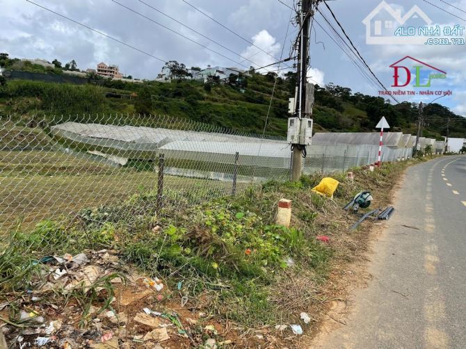 4233242 ảnh đại diện 1