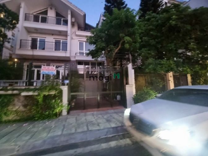 4232638 ảnh đại diện 2
