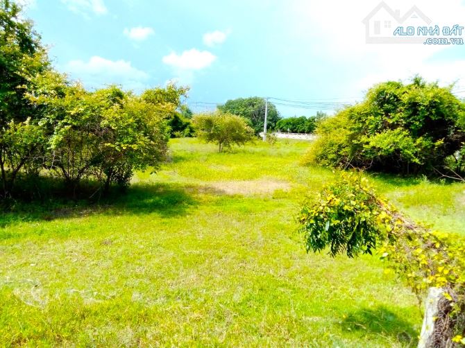 4232768 ảnh đại diện 2