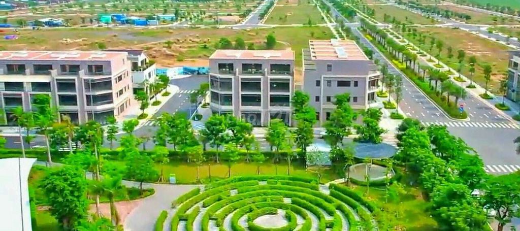 4234365 ảnh đại diện 1