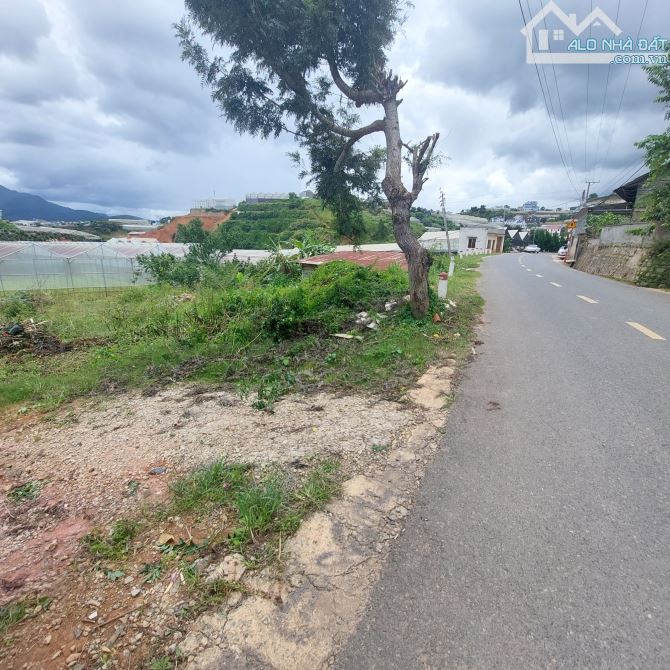 4233244 ảnh đại diện 1