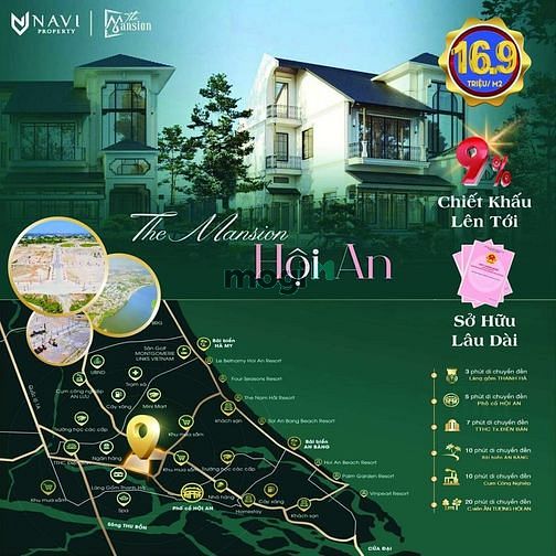 4235323 ảnh đại diện 2