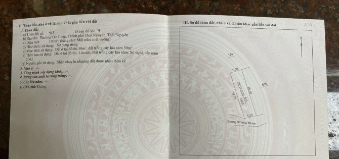 4235158 ảnh đại diện 2