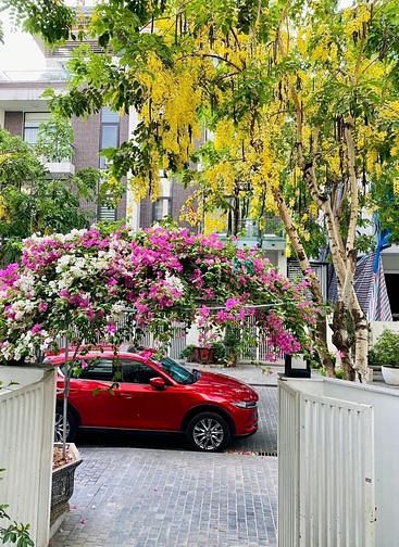 4233729 ảnh đại diện 1