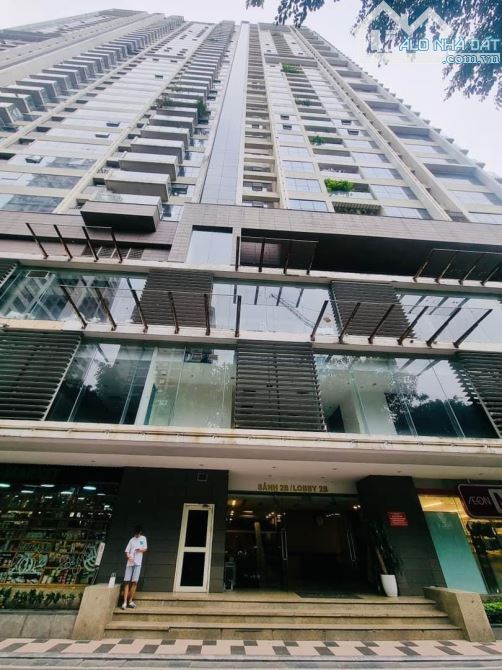 4233994 ảnh đại diện 1