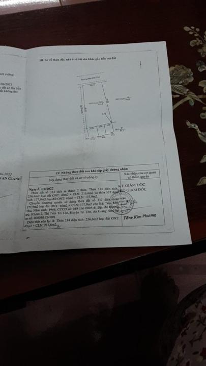 4233038 ảnh đại diện 1