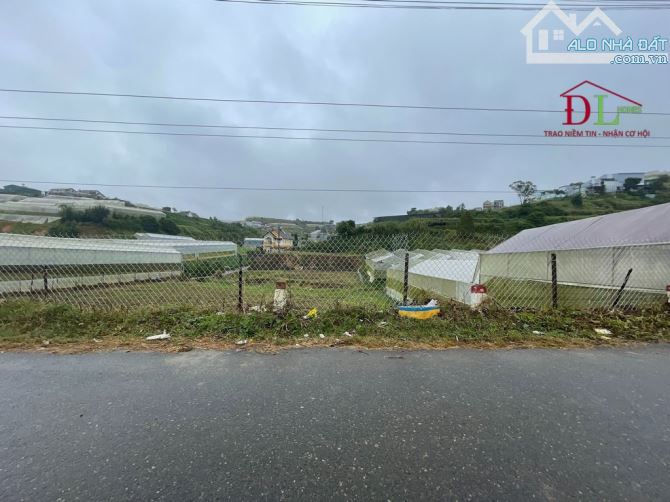 4233242 ảnh đại diện 1