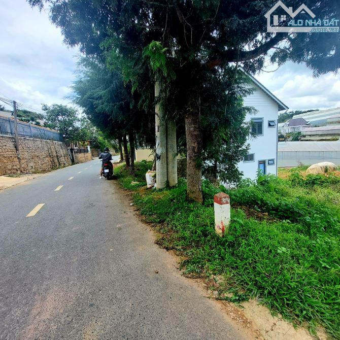 4233244 ảnh đại diện 2