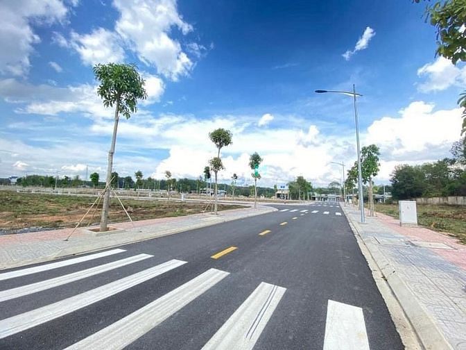 4233957 ảnh đại diện 1