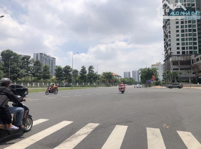 4232797 ảnh đại diện 1