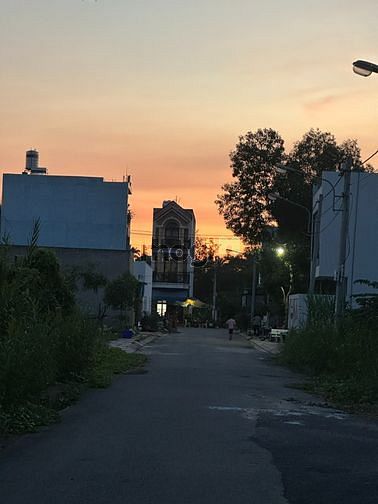 4234215 ảnh đại diện 2