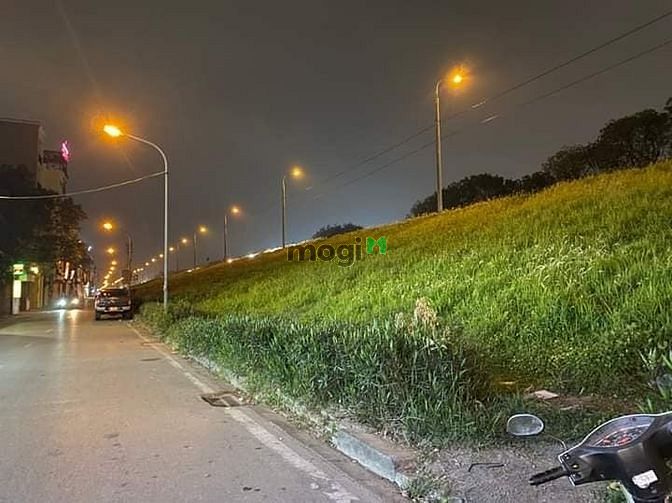 4234351 ảnh đại diện 1